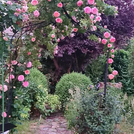 Ullo's Schwalbennest